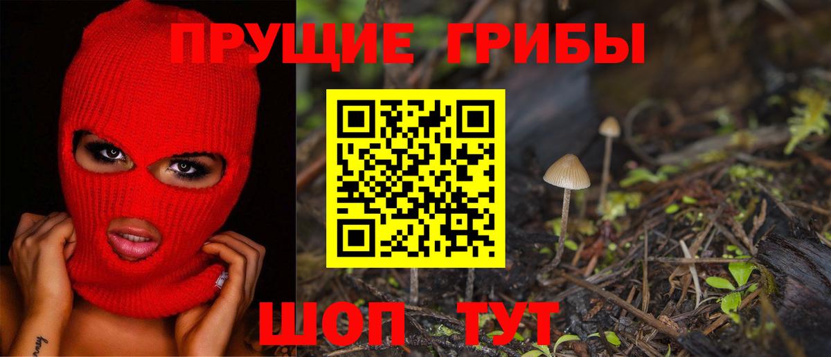 Кольчугино  Галлюциногенные грибы прущие грибы  Вход с VPN 
